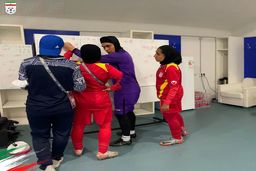 گزارشگر خانم تا حالا دیدید؟ +فیلم