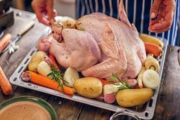 جدیدترین قیمت گوشت بوقلمون در میادین و مغازه ها | هر کیلو گوشت بوقلمون چند ؟ 