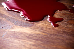 قتل  وحشتناک پسر جوان خرمشهری | قاتل به دام پلیس افتاد