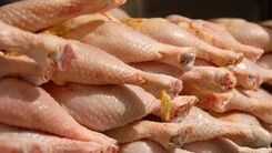 قیمت گوشت مرغ بسته بندی امروز | جدیدترین قیمت مرغ برای آخرهفته + جدول