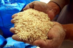 افزایش عجیب و غریب قیمت برنج/ماجرا چیست؟