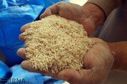 افزایش عجیب و غریب قیمت برنج/ماجرا چیست؟