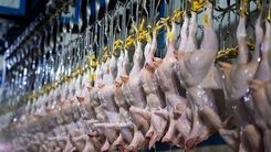 مرغ و تخم مرغ در بازار چند؟
