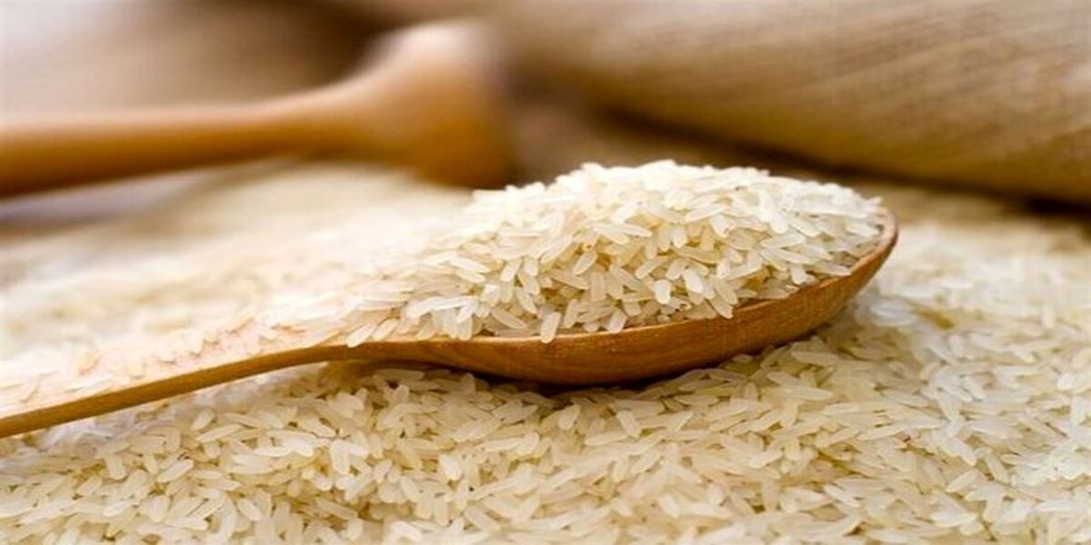 نرخ مصوب انواع برنج ایرانی و خارجی | آخرین قیمت برنج را اینجا ببینید