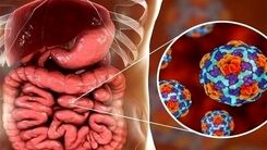 شیوع اولین بار وبا در بعضی استان‌ها | هشدار به زائران عتبات