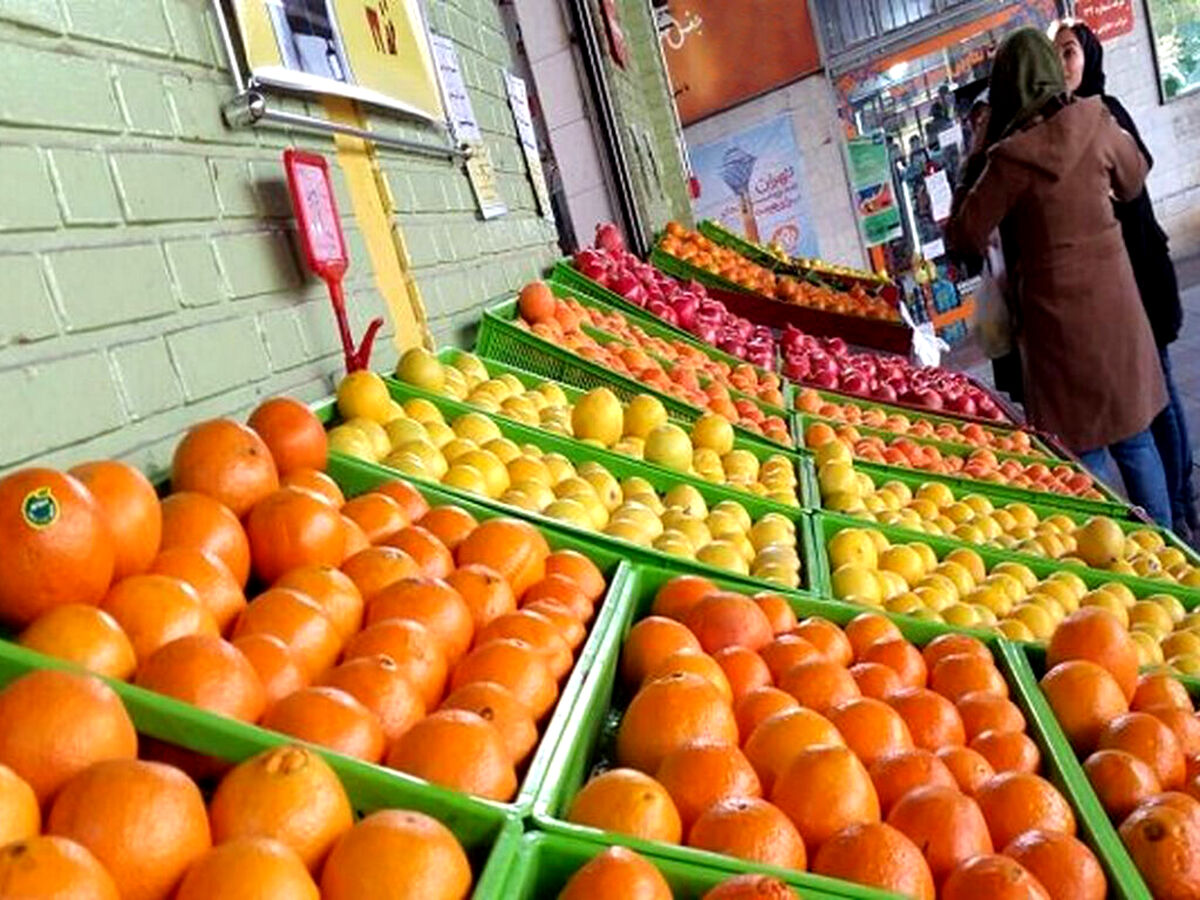 قیمت‌ جدید انواع میوه در بازار | پرتقال کیلویی چند شد ؟