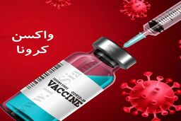 مرگ بر اثر تزریق واکسن کرونای فایزر / جزئیات
