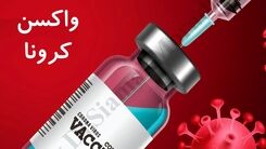 مرگ بر اثر تزریق واکسن کرونای فایزر / جزئیات