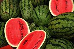 قیمت هر کیلو هندوانه شب یلدا چقدر است؟