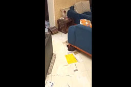 سرقت مسلحانه میلیاردی از یک خانه در ورامین| بلای وحشتناکی که سارقان سر خانه آوردند+فیلم