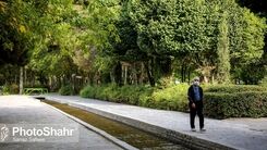 خبر خوش درباره وام جدید تامین اجتماعی 