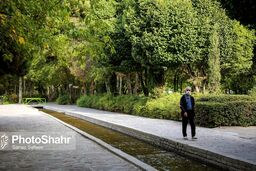 خبر خوش درباره وام جدید تامین اجتماعی 