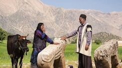 10 روش برای بهبود سئوی درون صفحه