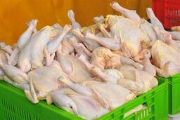 جدیدترین قیمت مرغ | فیله مرغ کیلویی چند؟