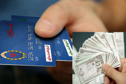 اگر تصمیم گرفته اید برای بهمن ماه کالابرگ بگیرید بخوانید | آشنایی مو به مو با نحوه استفاده از کالابرگ الکترونیکی 