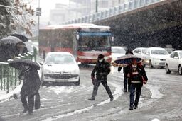 زمان بارش سنگین برف در تهران | هواشناسی هشدار نارنجی‌ صادر کرد 