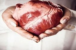 چرا انتخاب بهترین دکتر قلب در تشخیص بهتر بیماری موثر است؟
